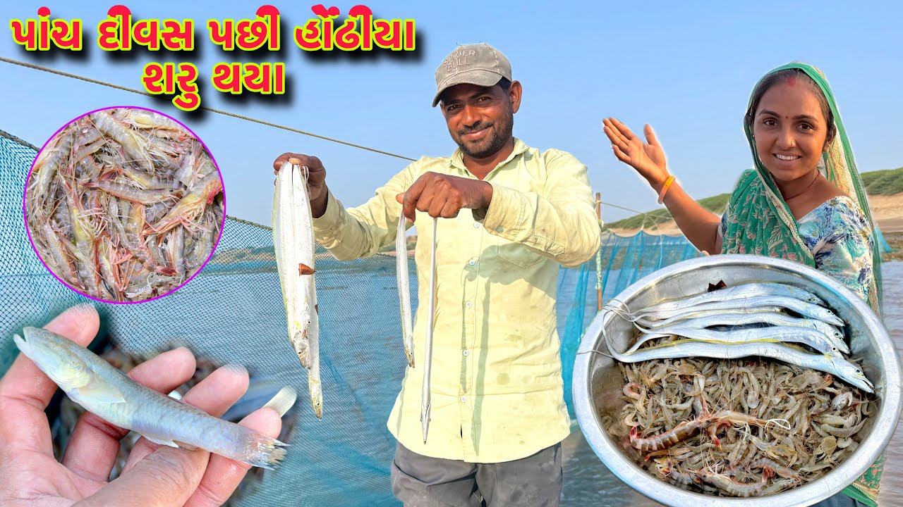 આ જવાળ મા હોંઢીયા ફુલ આવશે 🦐 jinga fishing 🍤 dariyai khedut