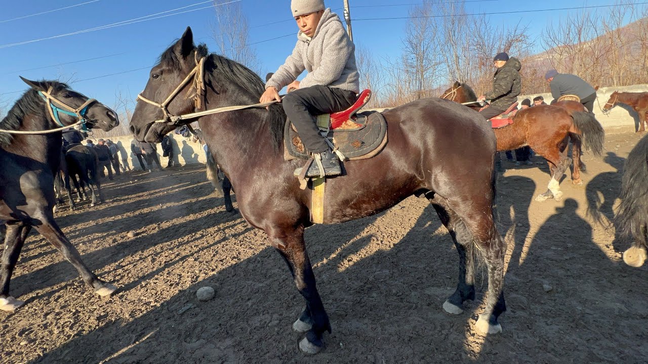 Ноокат 22 февраля 2026 г.