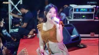 CINTA DAN AIR MATA TIARA DEWI - DEWANA MUSIC - NEW YEAR PARTY 2025 - REWO REWO PAGAK - ABBAS AUDIO