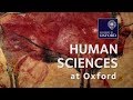 Human sciences at oxford university