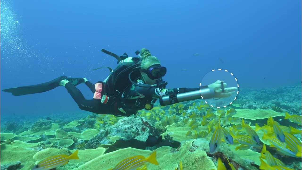 Subnado World's Smallest Portable Underwater Scooter YouTube