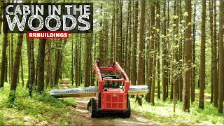 Cabin in the Woods: Intro and Layout