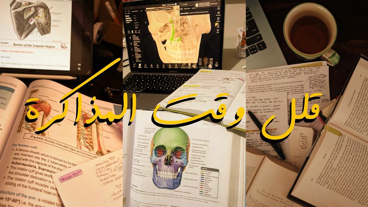 مهارات دراسية هتقلل وقت مذاكرتك للنصف!