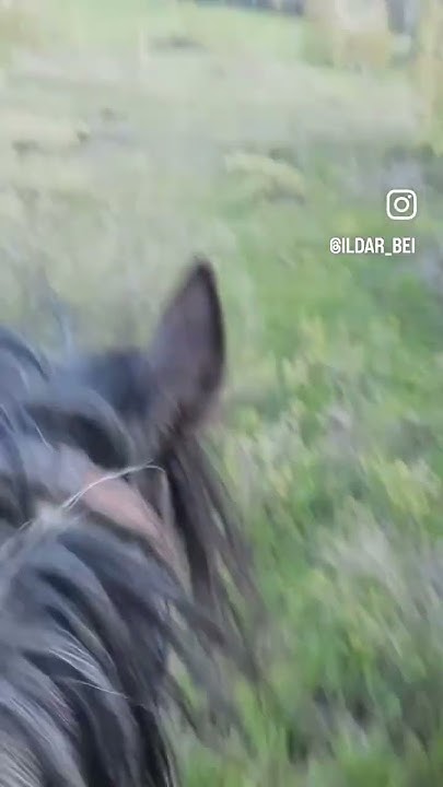 РБ Имангулово. Һыбай- Horseback 🐎🐎🐎 - YouTube