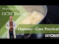 Osmosis in Potatoes Quiz