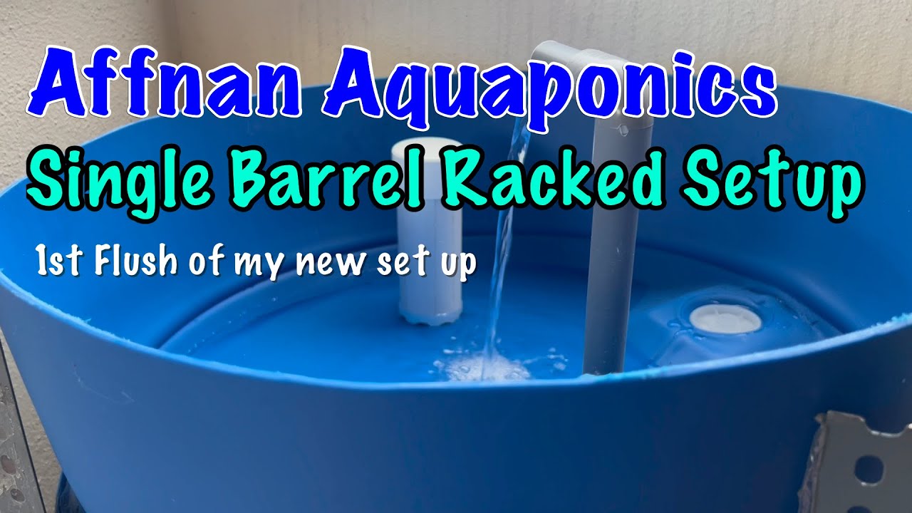 Aquaponics | 1st Flush Unedited | Affnan Siphon - YouTube