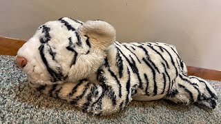 Animal Alley White Tiger Plush Unboxing