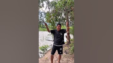 Đi câu Cá Rô #trainghiem