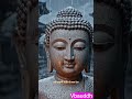 Gussa sabse dangerous poison hai. ☸️#shorts #viral #trending #buddha #motivation #VBAuddhReality