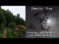 Foraging, gardening &amp; the solar eclipse (chaotic vlog)