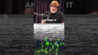 What an amazing experiment, with Paul Stamets. Did you know this? EP number: JRE #1035