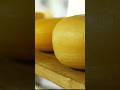 Darr ke aage Cheese hai - The Cheese for Bravest #facts #cheese #poison #expensive #mystery #food