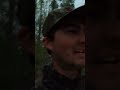 Roosting a Gobbling Turkey - #turkeyhunting #hunting #turkeys #outdoors #wildlife #birds