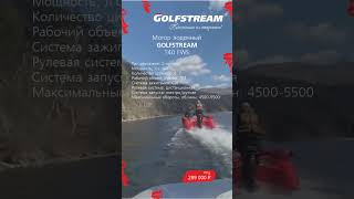 Лодочный мотор Golfstream T40FWS