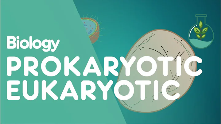 Prokaryotic vs Eukaryotic: The Differences | Cells | Biology | FuseSchool - DayDayNews