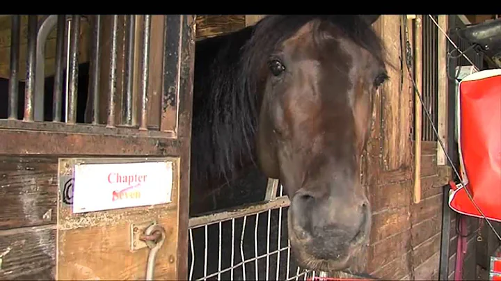 Linda Toscano Story Trackside New Zealand