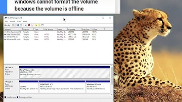 windows cannot format the volume because the volume is offline. PLS first backup this disk data.