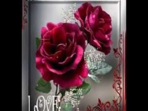 ارجع وخليني اشوفك يل حبيب وسام داوود