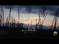 Relaxing Piano Music for Study and Focus - 2 Hours Peaceful Piano for Work, Reading, Relaxation