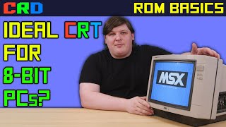 The Perfect 8-Bit Computer Monitor?