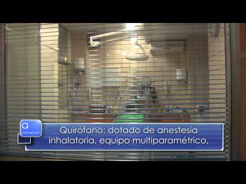 Veterinary Clinic Los Cantos