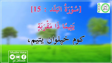 #قران_سورة_البلد #تلاوت_محمد فاروق #صابر #telawat #new #quran in#pashto #مسلم_غږ_muslim_voice