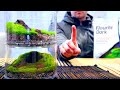 How to Make a Moss Terrarium with Seachem Flourite