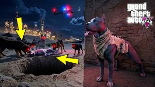 PİTBULL TERMİNATÖR ROTTWEILER MAHMUT'UN GERÇEK YÜZÜNÜ GÖRÜYOR! - GTA 5