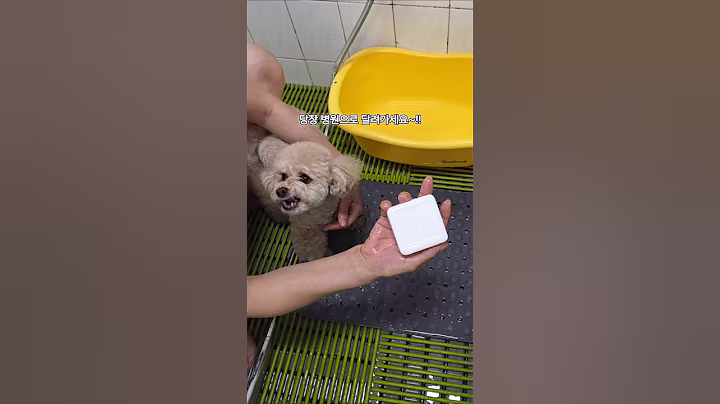 손톱을 보면 알수있는 건강신호 ~!! #건강정보 #옥희잔디랑