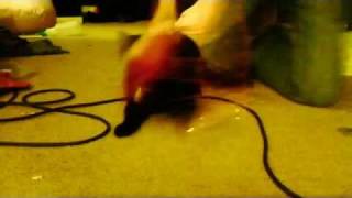 Raquel35254S Webcam Video December 30, 2011 0604 Pm