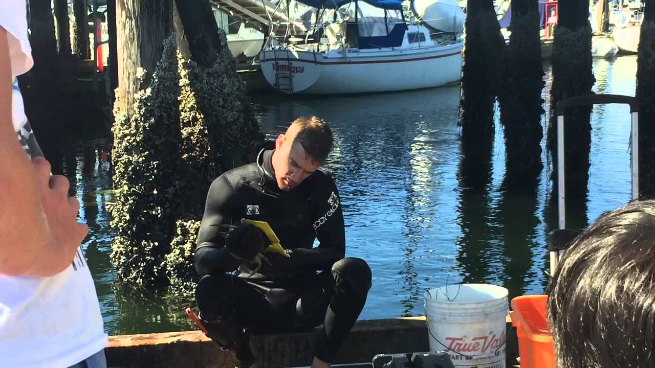 vancouver crab fishing tour