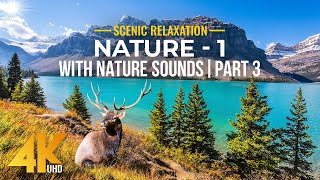 (4K UHD) Beautiful Places in the World + Soothing Nature Sounds - NATURE by 4K Relaxation Channel 15,835 views 1 month ago 11 hours, 7 minutes