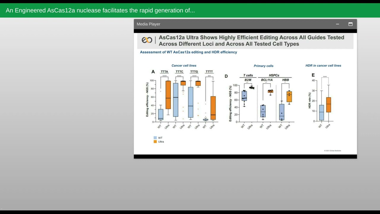 An Engineered AsCas12a nuclease facilitates the rapid generation of therapeutic cell medicines
