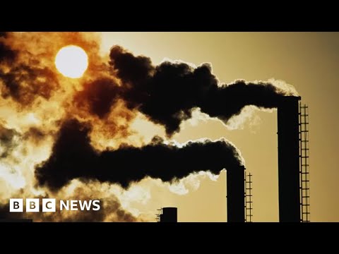 Climate summit opens with dire warnings about planet’s future – BBC News