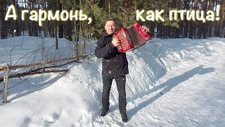 А гармонь, как птица! Поёт Андрей Киреев, тенор Сибири!