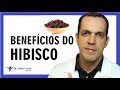 Incríveis Benefícios do HIBISCO / Dr. Gabriel Azzini