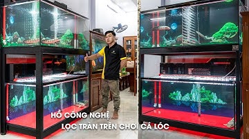 HỒ LỌC TRÀN TRÊN CÔNG NGHỆ chơi Cá Lóc cực đẹp của Jarvis Tank từ TPHCM giao về Vũng Tàu