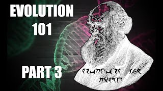 Evolution 101 Part 3 (@JacksonWheat mirror)