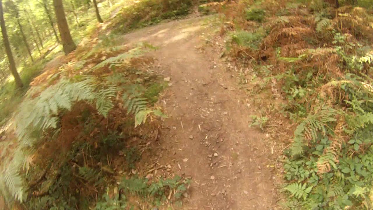 forest of dean mountain bike trails
