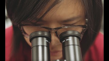 Course-based research bridges gap between classroom and industry