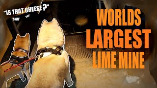 World Largest Limestone Mine || Kin Gravitates To Cold Water And Cheese! || Husky CAM || by Momo The Shiba 35 views 1 year ago 6 minutes, 31 seconds