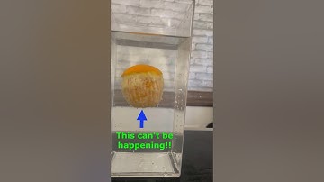 Only An Orange Can Do This