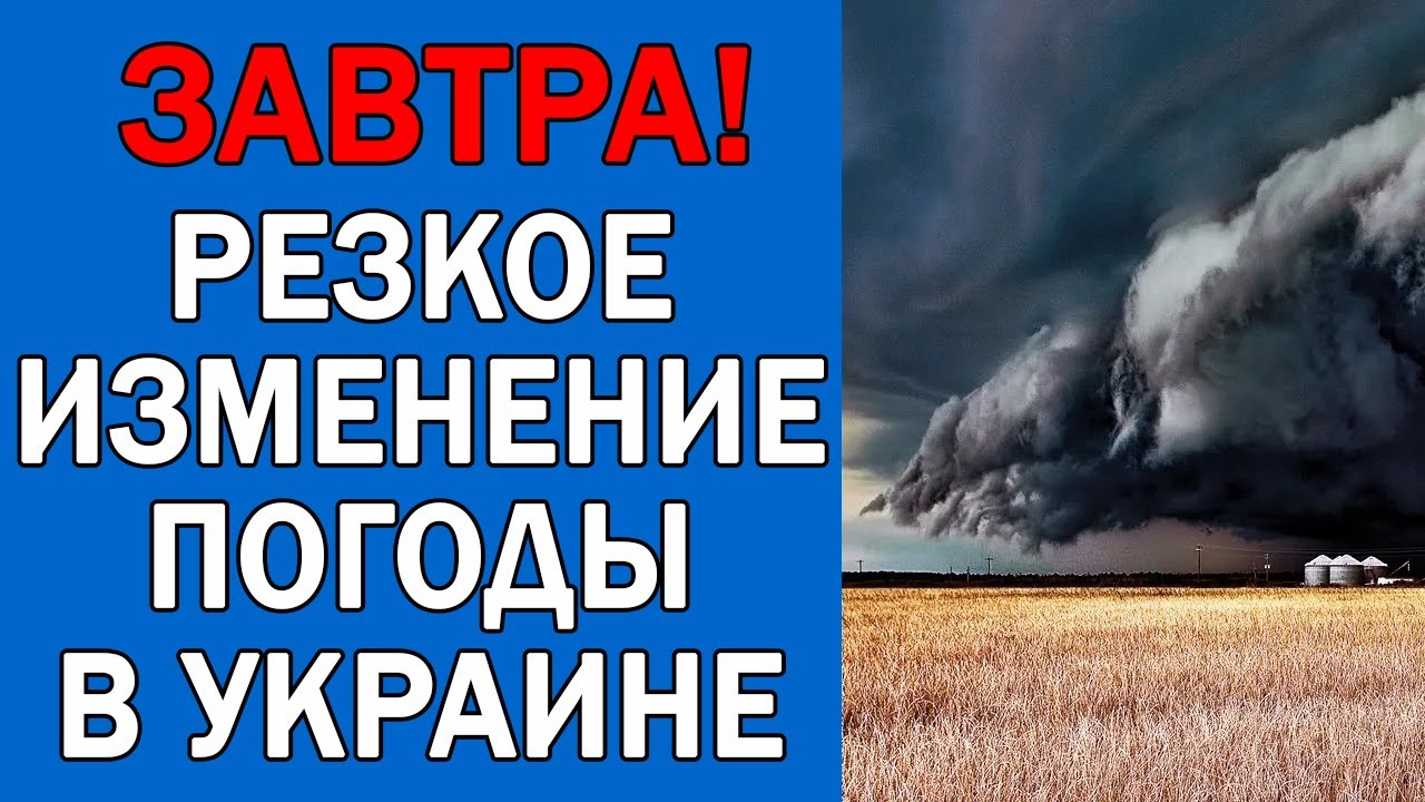 Погода на завтра моторное