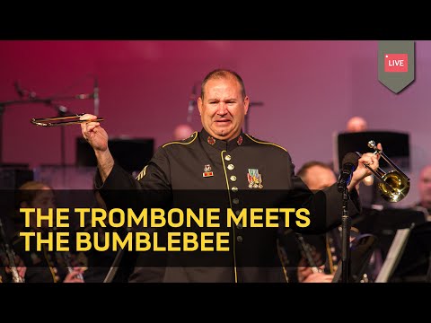 The Trombone Meets The Bumblebee | AMAZING Trombone Solo