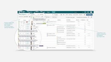 Plangle - Planning a Fixed Scope Project