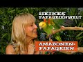 FAQ über die tiergerechte Privathaltung von Amazonen Papageien - von und mit Heike Mundt