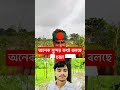 যে দেশে জুটা বিক্রি হয় এসি রুমে#shorts #trendingshorts #viralvideo