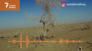 Çöllük Türkmenistan Britaniýadan 10,000 Tonna Çäge Satyn Alýar