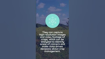 Everything Automotive Agriculture Drones