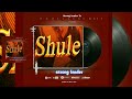 Strong Leader Official Audio Shule 180k 